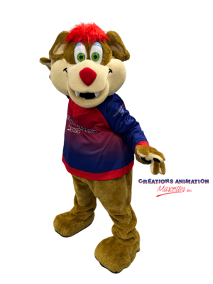 LOCATIONS CAM - Gribouille