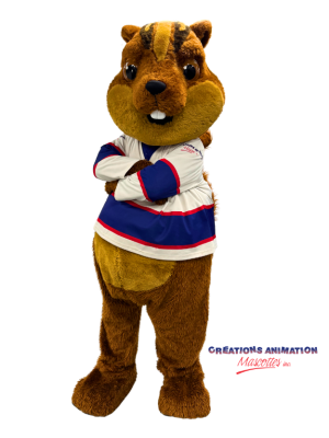 LOCATIONS CAM - Tamy