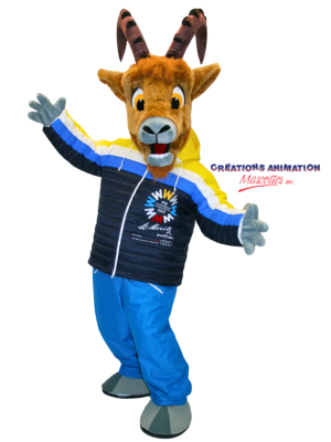 2017 Alpine World Ski Championships