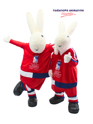 IIHF World Championship 2015 and 2024